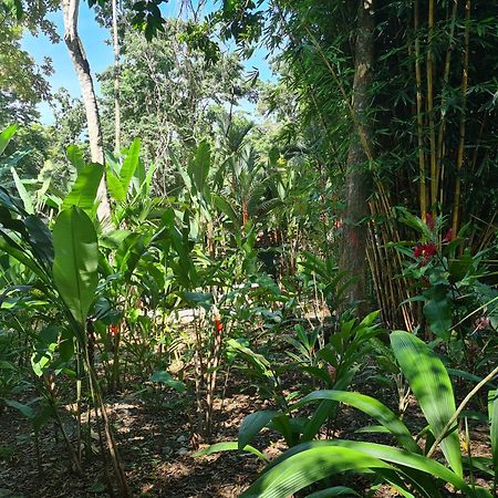 Puerto Viejo de Talamanca El Jardin De Playa Negra 빌라 외부 사진