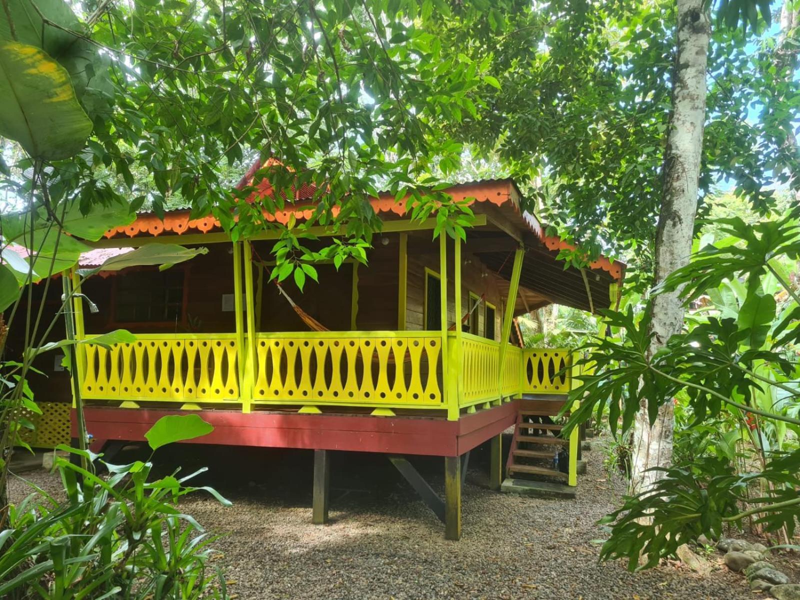 Puerto Viejo de Talamanca El Jardin De Playa Negra 빌라 외부 사진