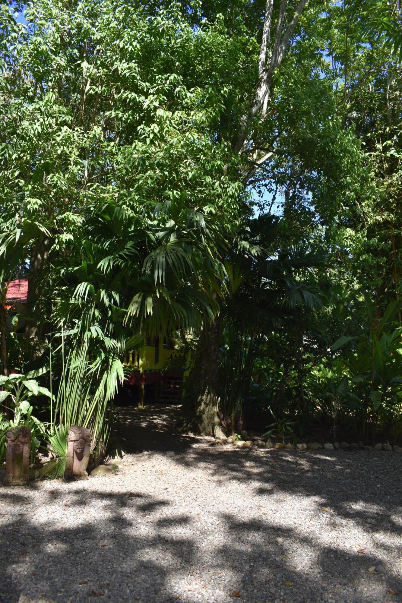 Puerto Viejo de Talamanca El Jardin De Playa Negra 빌라 외부 사진