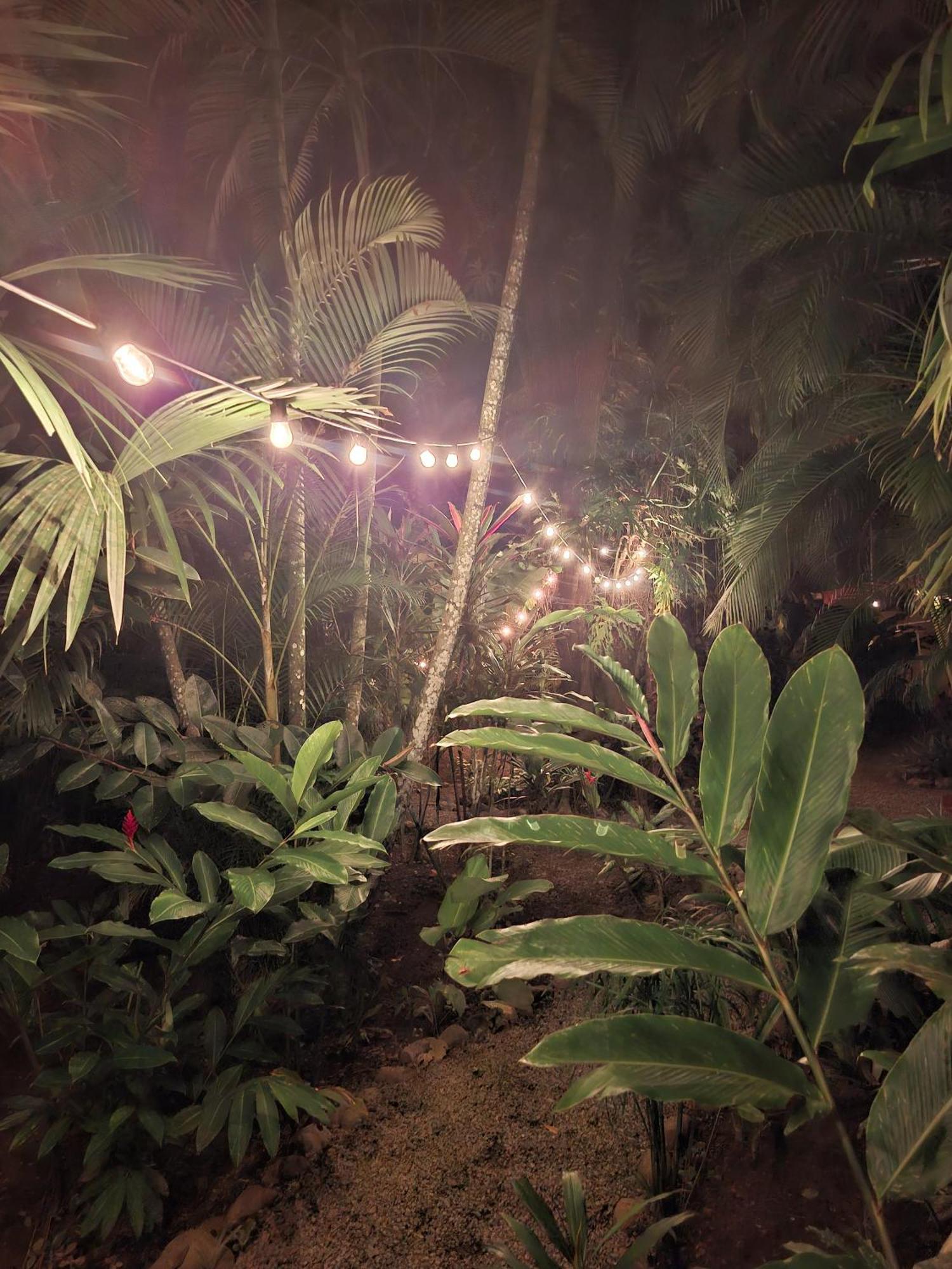 Puerto Viejo de Talamanca El Jardin De Playa Negra 빌라 외부 사진