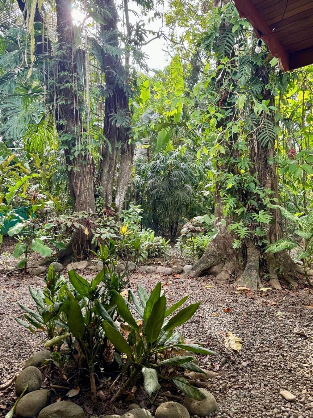 Puerto Viejo de Talamanca El Jardin De Playa Negra 빌라 외부 사진