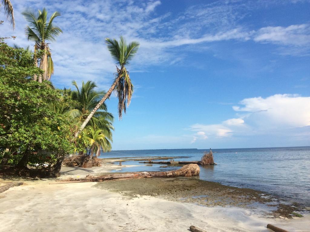 Puerto Viejo de Talamanca El Jardin De Playa Negra 빌라 외부 사진